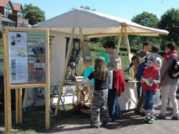 Info-Marktstand